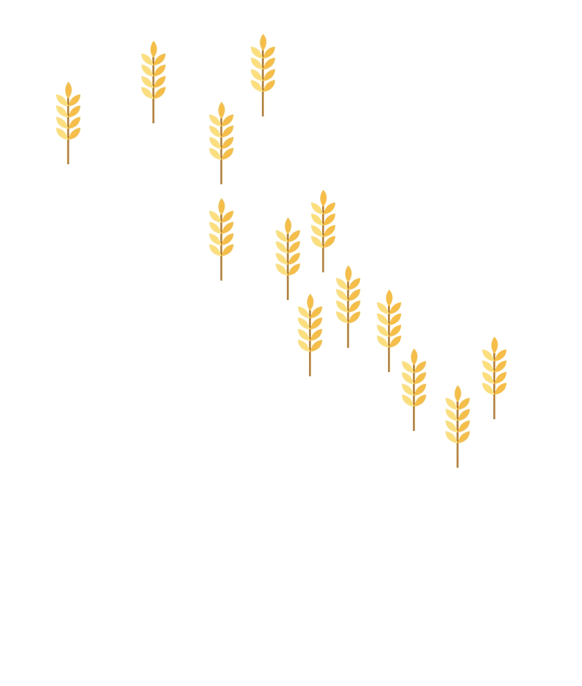 Mappa dell'Italia che mostra i luoghi in cui Barilla coltiva il grano