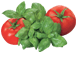 Tomates et basilic italiens, huile d’olive vierge extra