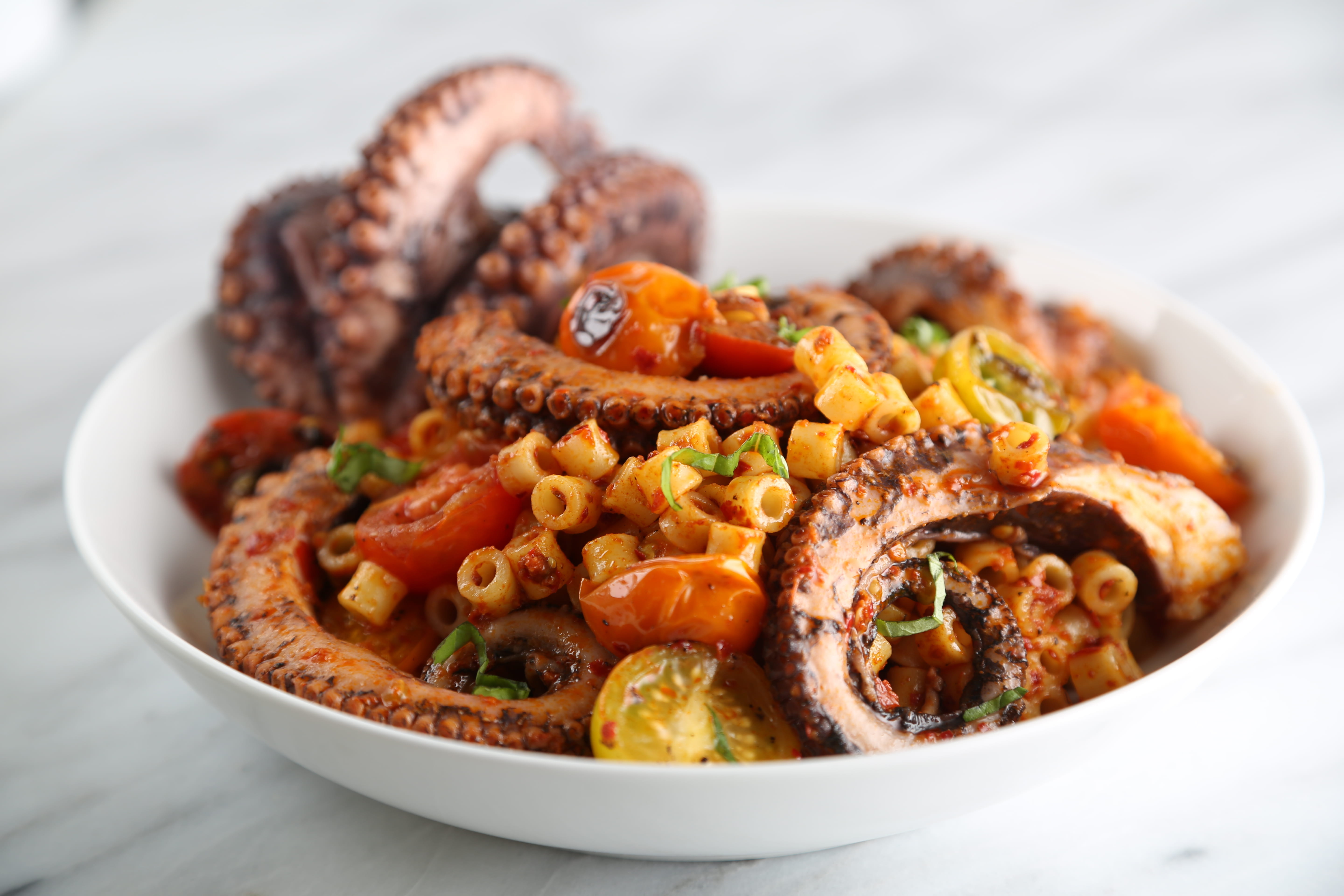 Octopus Ditali Pasta Salad with Nduja