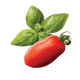 Zutaten Basilikum Tomaten Barilla