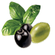 Sauces Pesti - Pesto Rustico Basilic et Olives - Barilla