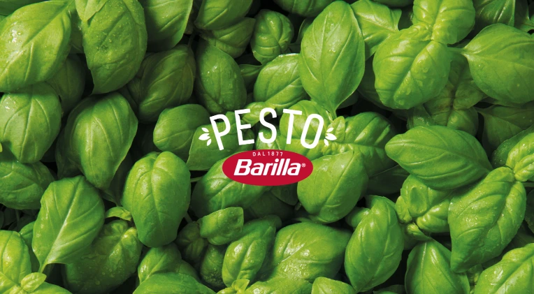 percorso del basilico