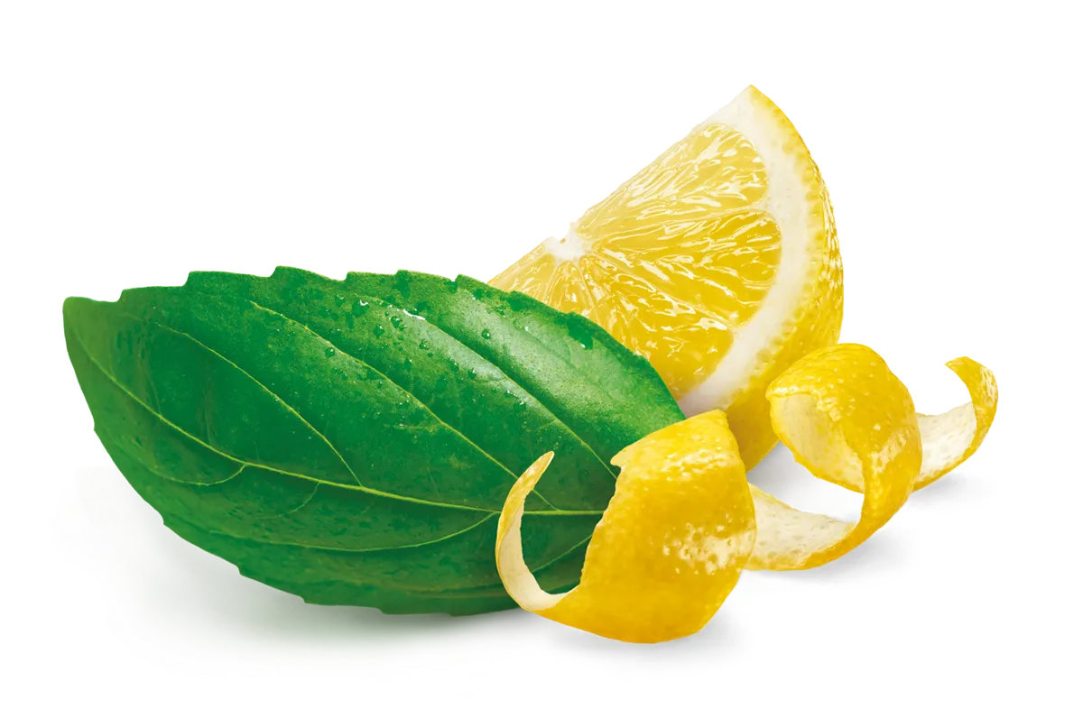 citron stylisé