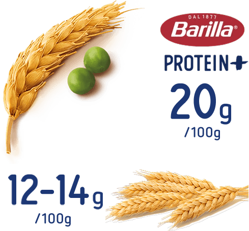 Entdecke alle Pasta-Formen