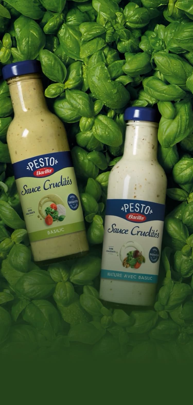 LA SAVEUR DU BASILIC QUE VOUS AIMEZ, RÉINVENTÉE