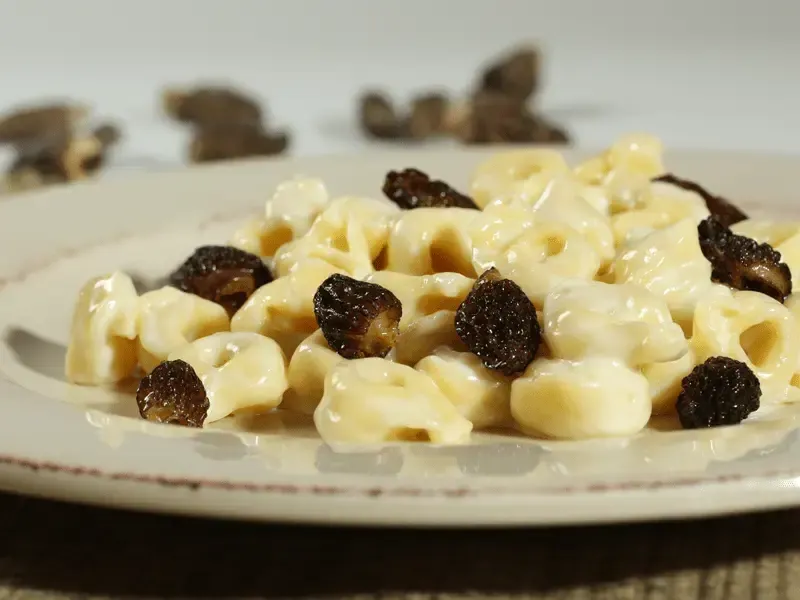 Barilla® Three Cheese Tortellini in Cream Sauce with Morels, Parmigiano Reggiano Cheese and White Truffle Oil Recipe | US_PROD-3f9456d3-d77f-4f31-abeb-3c9cd4169ee8