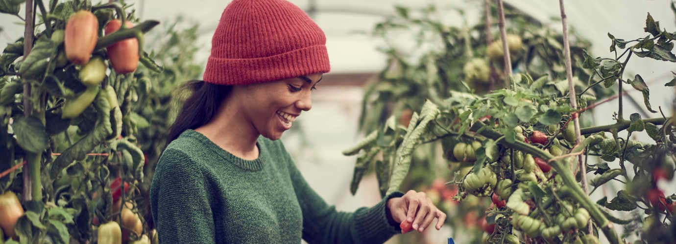 SDP Woman Garden
