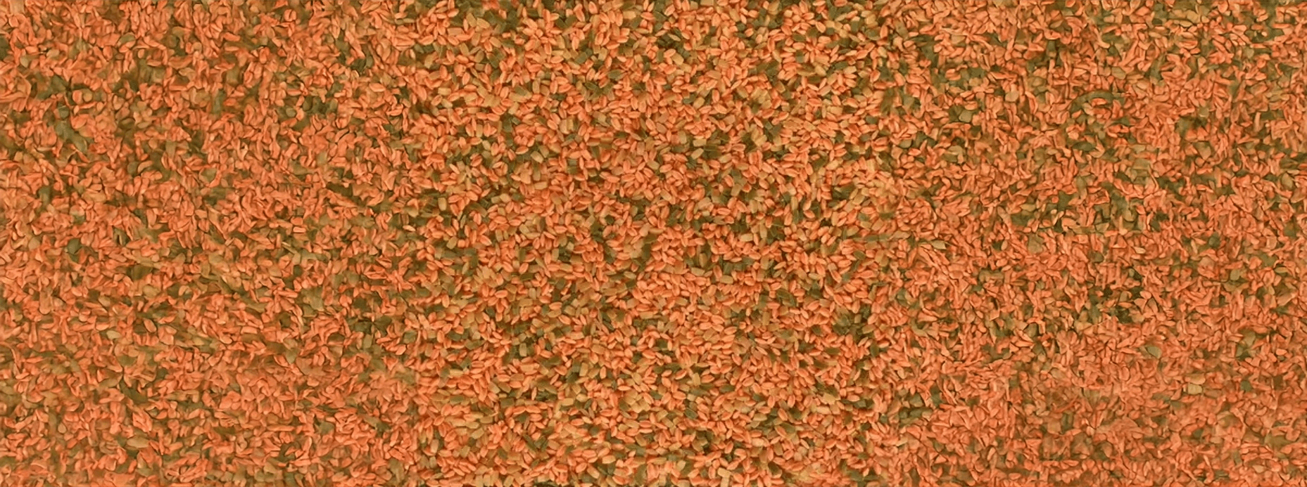 IT_PROD-4gyNZkjBgVUE2JgvPRowES