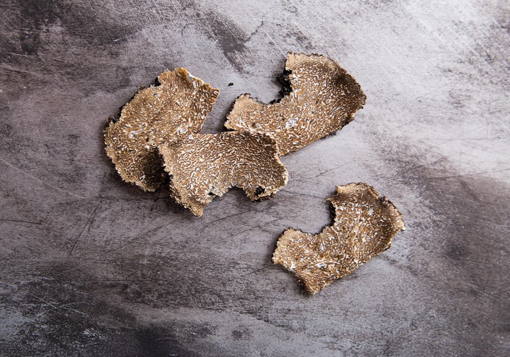 Barilla US Black Winter Truffle Barilla Truffle Pasta Recipes