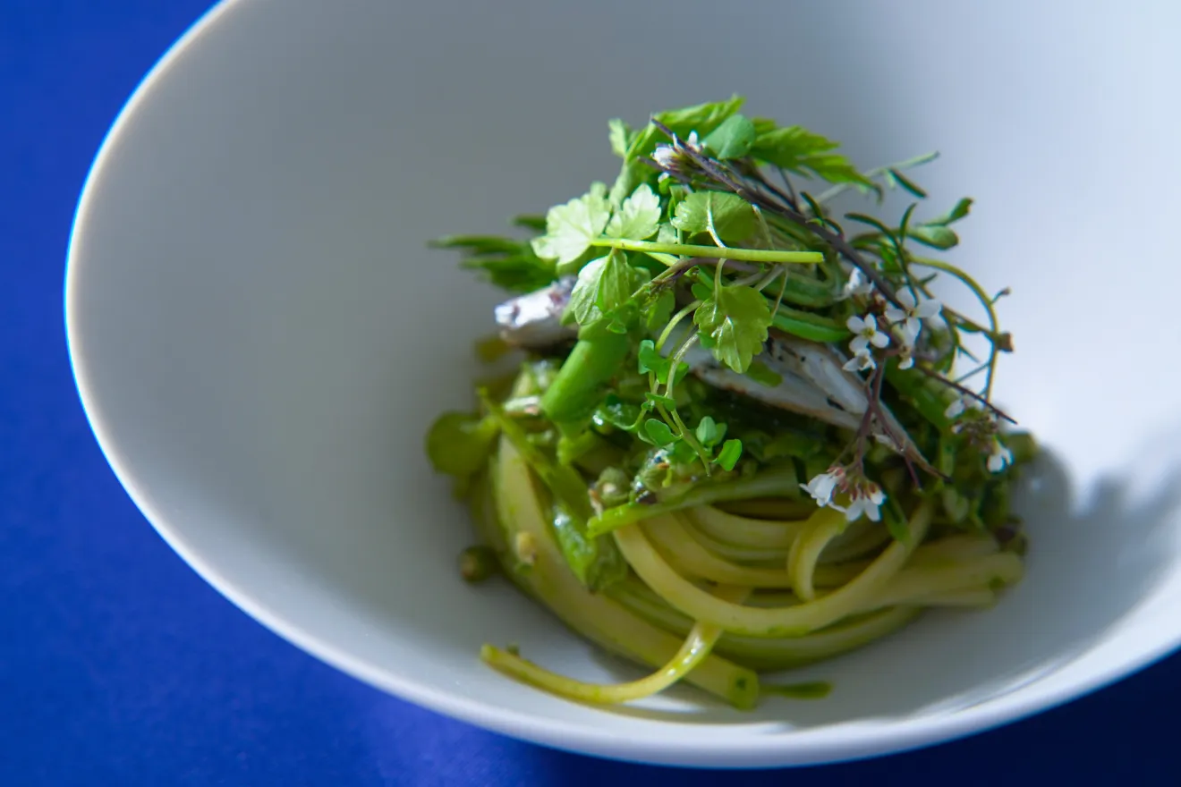 「山椒の葉といしり(魚醤)のリングイネ」 Linguine con SANSHO Colatura (ISHIRI)