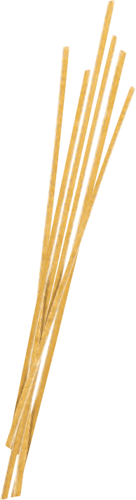 Polnozrnati špageti Barilla